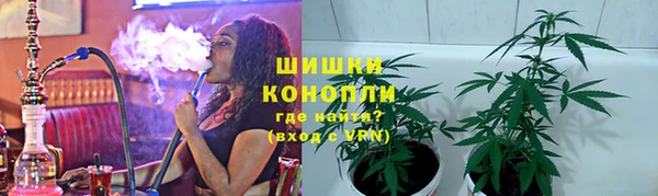 тгк Дмитров
