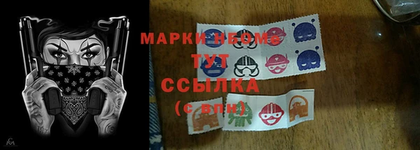 тгк Дмитров