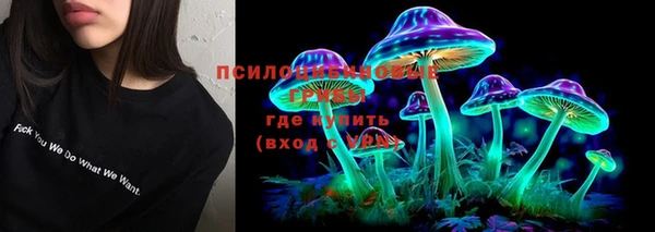 тгк Дмитров