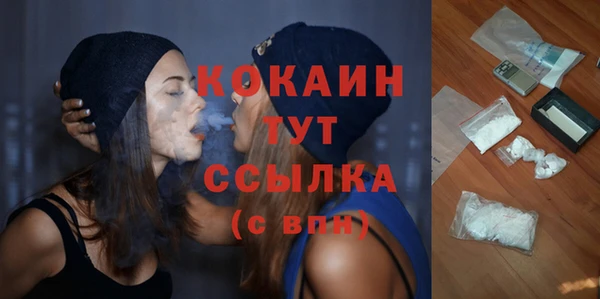 ешки Дмитриев