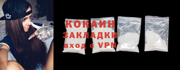 тгк Дмитров
