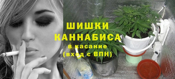 ешки Дмитриев