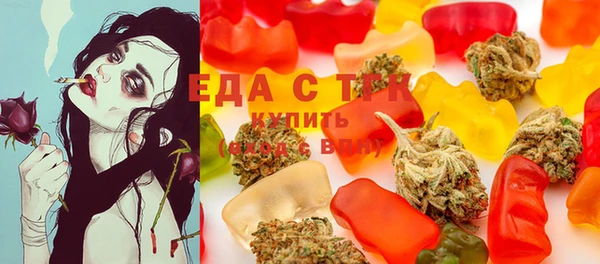 тгк Дмитров