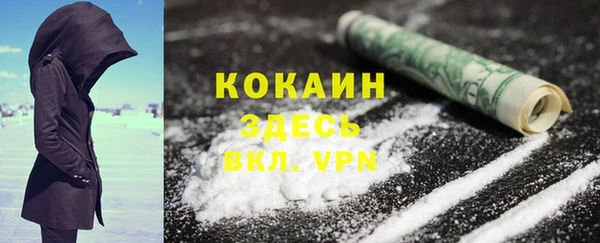 ешки Дмитриев