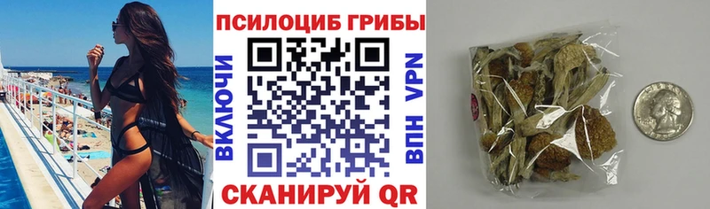 Купить где  Среднеуральск  Псилоцибиновые грибы Cubensis 
